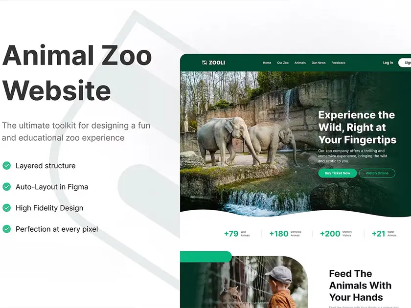 Zoo website design